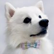 Bowtix Handmade Dog Collar With Removable Bowtie - Mulberry Online Hot Sale